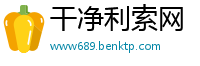 干净利索网